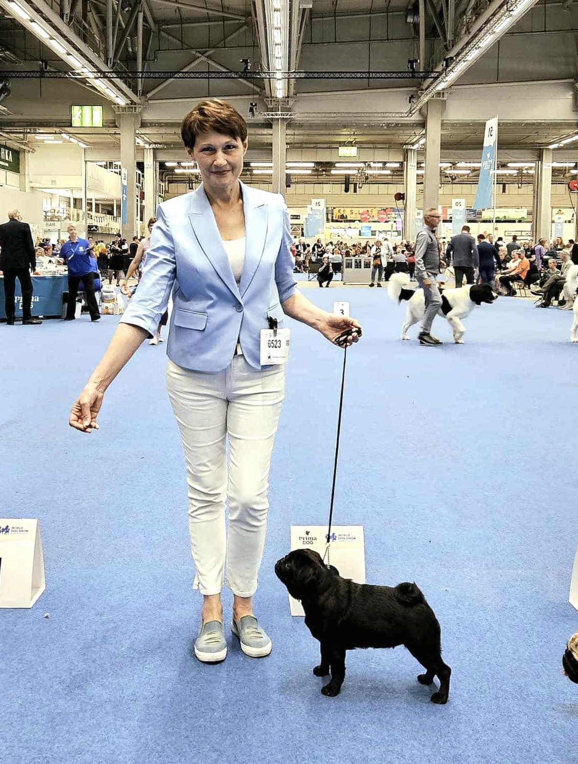 Canis Celebri Fiesta at World Dog Show World Dog Show pugs